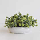 Arranjo Folhagem No Vaso Cerâmica Branco Baixo | Formosinha